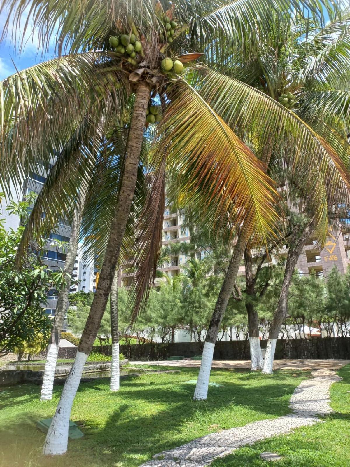Golden Beach Flat Na Praia Piedade Жабуатан-дус-Гуарарапис Экстерьер фото
